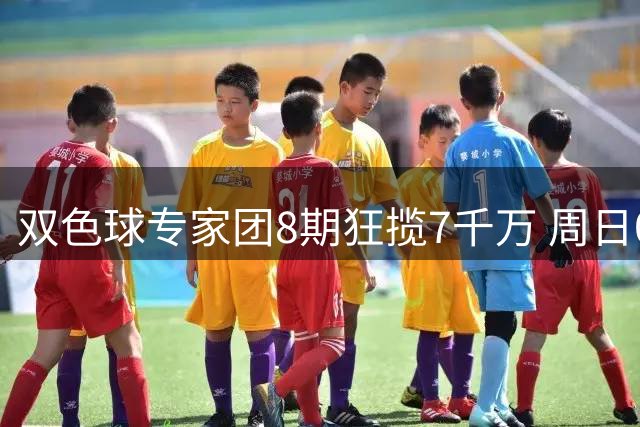 双色球专家团8期狂揽7千万 周日085期最新预测出炉