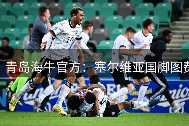 青岛海牛官方：塞尔维亚国脚图费格季奇加盟球队